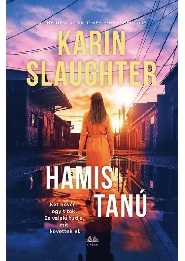 Karin Slaughter - Hamis tanú