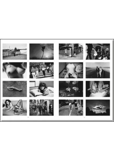 Araki 25 fp