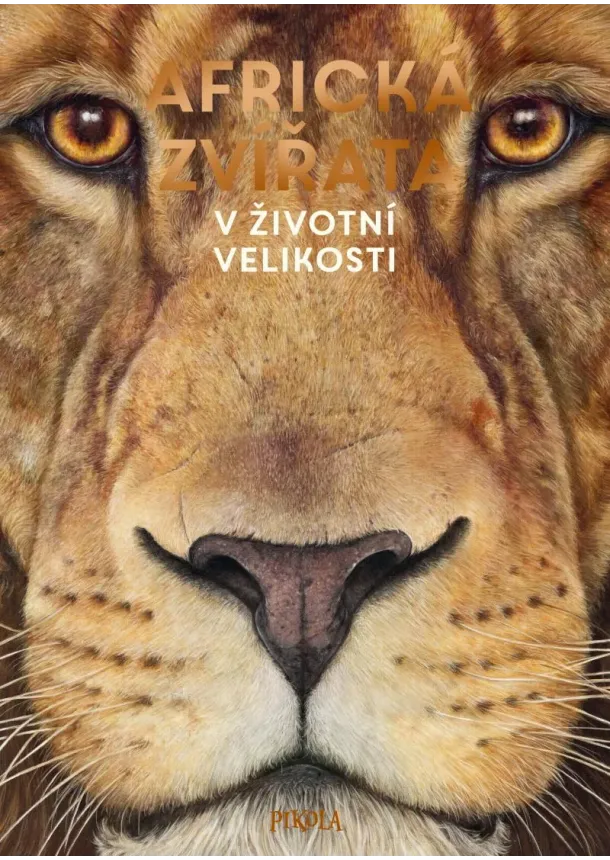 Holger Haag - Africká zvířata: V životní velikosti