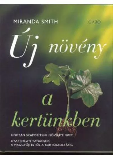 ÚJ NÖVÉNY A KERTÜNKBEN