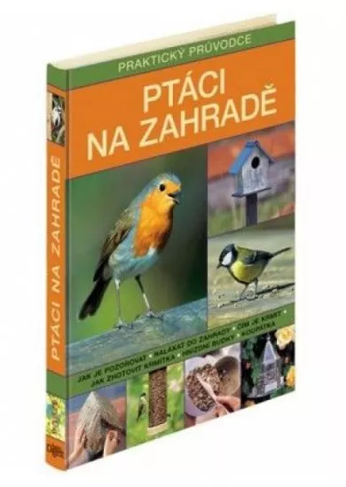 Ptáci na zahradě