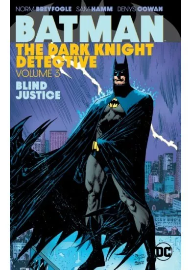 Batman The Dark Knight Detective 3