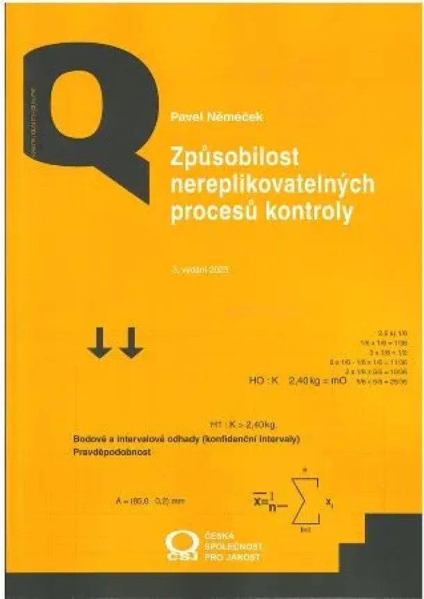 Pavel Němeček - Způsobilost nereplikovatelných procesů kontroly