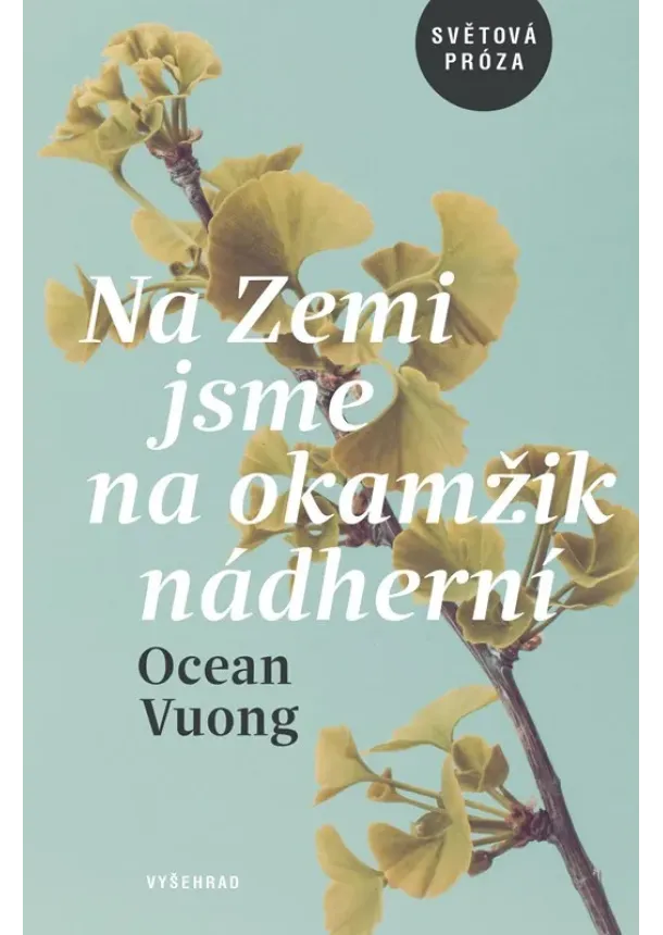 Ocean Vuong - Na Zemi jsme na okamžik nádherní