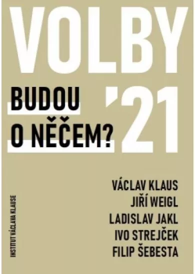 Volby 2021 - Budou o něčem?