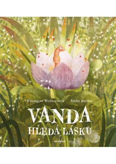 Vanda hledá  lásku