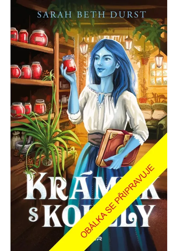 Sarah Beth Durst - Krámek s kouzly
