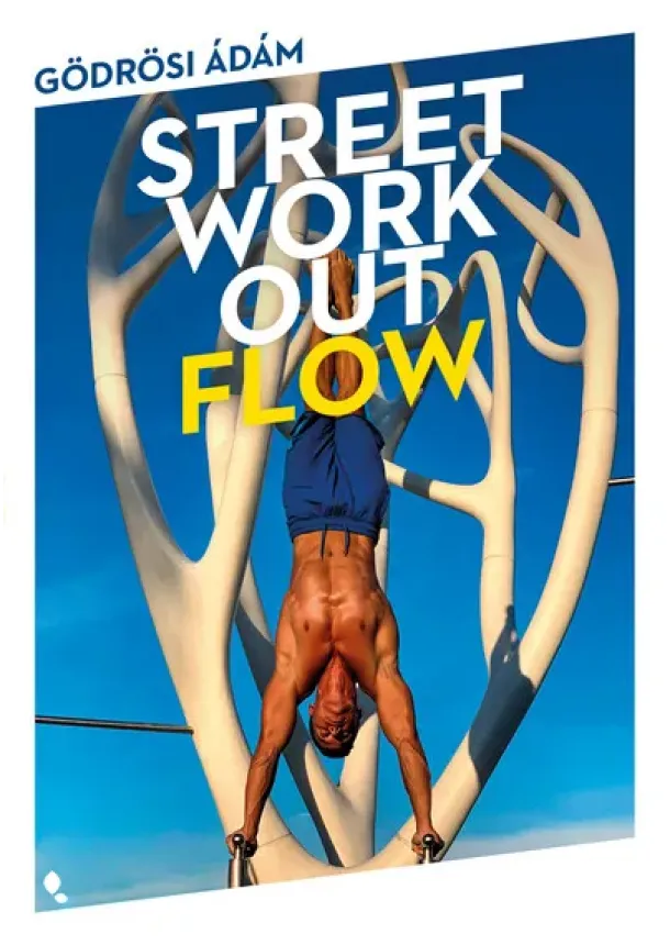 Gödrösi Ádám - Street workout flow