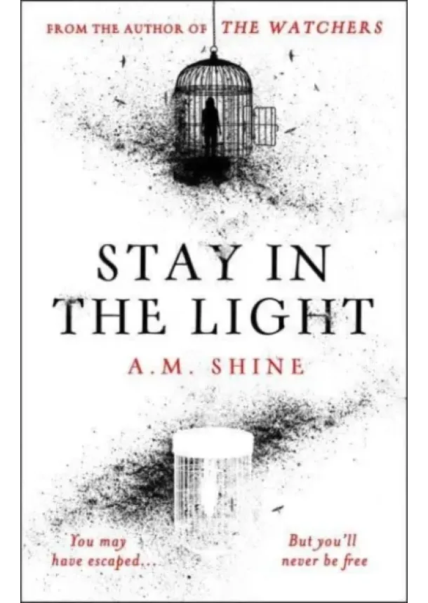 A.M. Shine - Stay in the Light