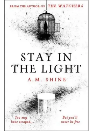 Stay in the Light