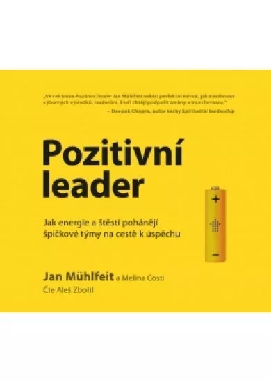 Pozitivní leader - audiokniha