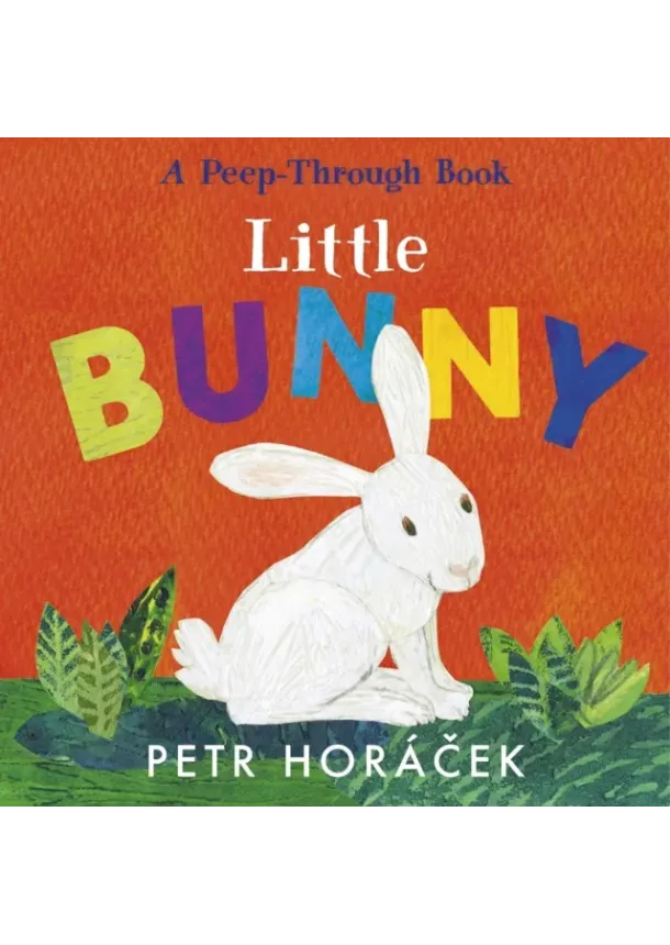 Petr Horacek - Little Bunny
