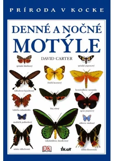 Denné a nočné motýle