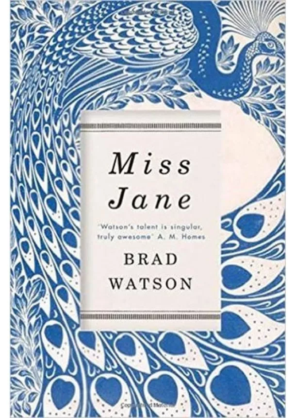 Brad Watson - Miss Jane