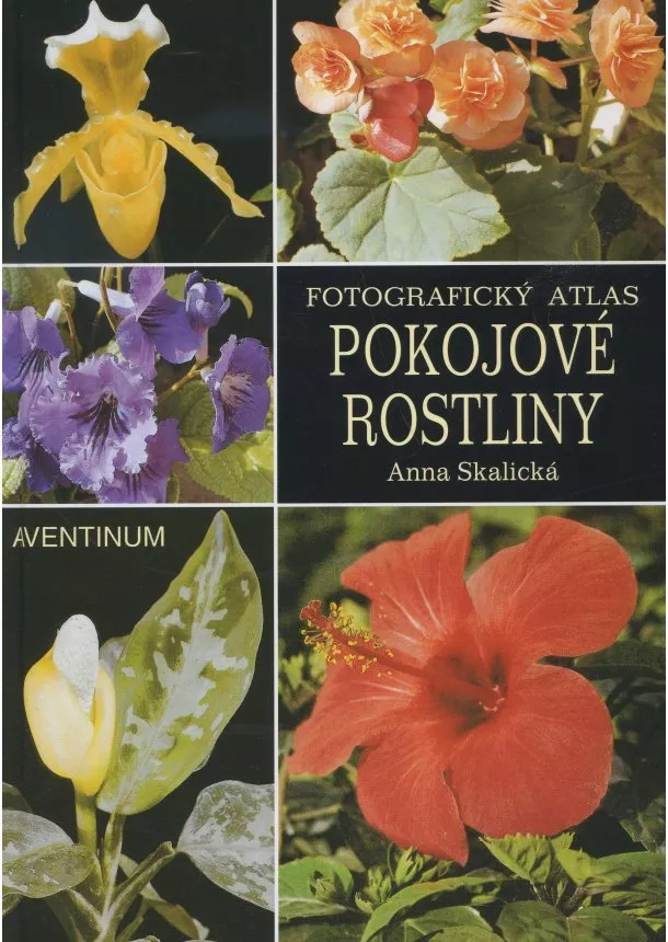 Anna Skalická - Pokojové rostliny