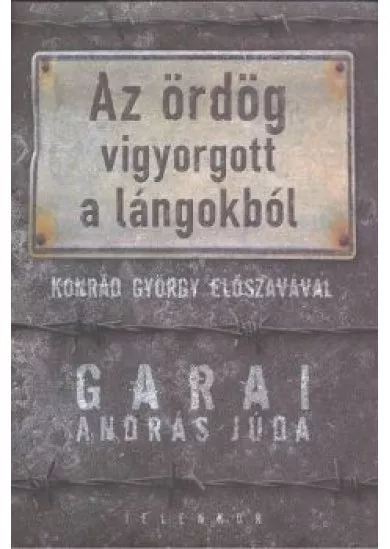 AZ ÖRDÖG VIGYORGOTT A LÁNGOKBÓL
