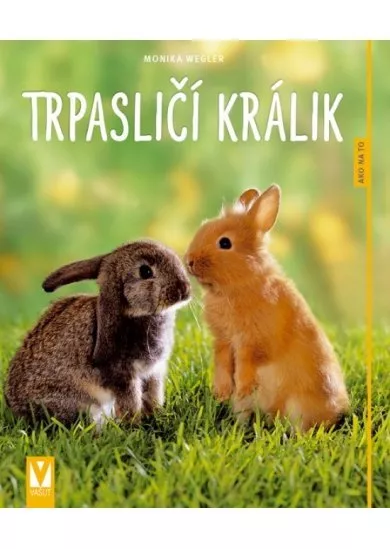 Trpasličí králik - Ako na to  2 vyd.