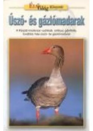 ÚSZÓ- ÉS GÁZLÓMADARAK