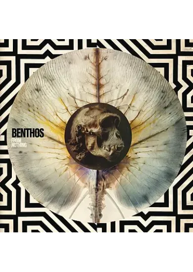 Benthos:  From Nothing