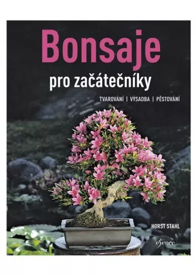 Bonsaje pro začátečníky