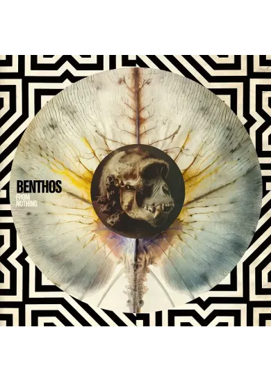 Benthos:  From Nothing