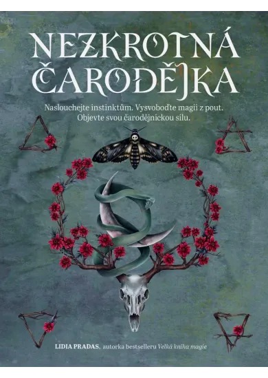 Nezkrotná čarodějnice