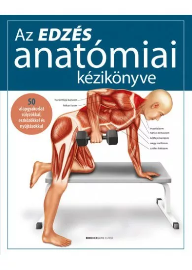 Az edzés anatómiai kézikönyve - 50 alapgyakorlat súlyzókkal, eszközökkel és nyújtásokkal