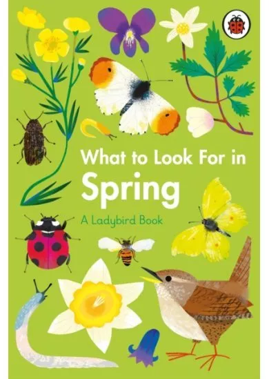 What to Look For in Spring