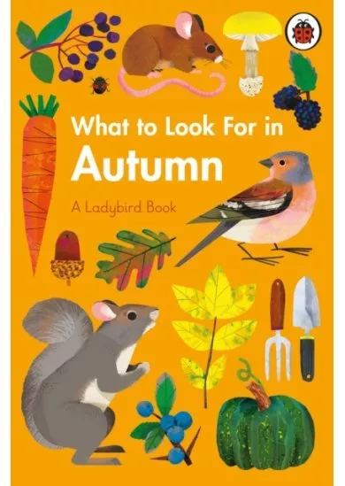 What to Look For in Autumn