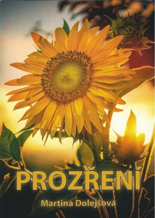 Martina Dolejšová - Prozření