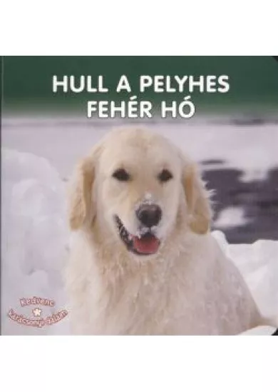 HULL A PELYHES FEHÉR HÓ §K