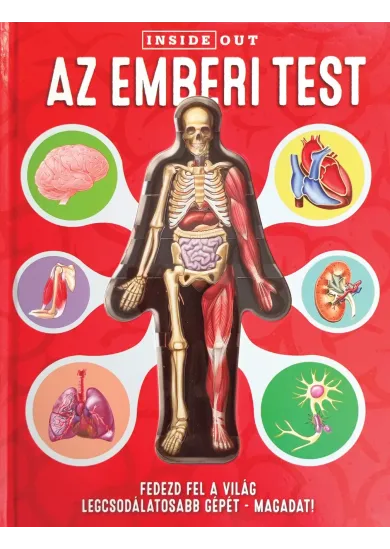 Az emberi test - Inside Out