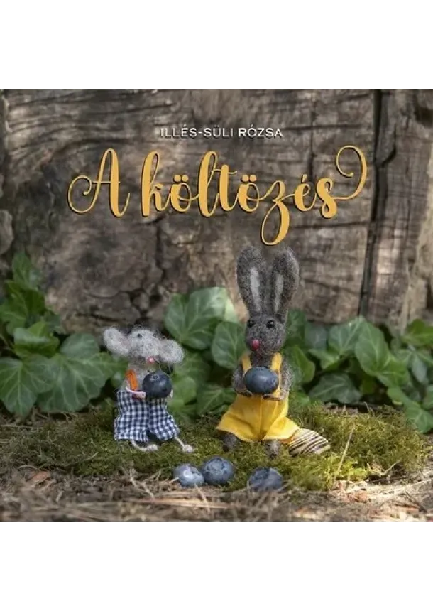 Illés-Süli Rózsa - A költözés
