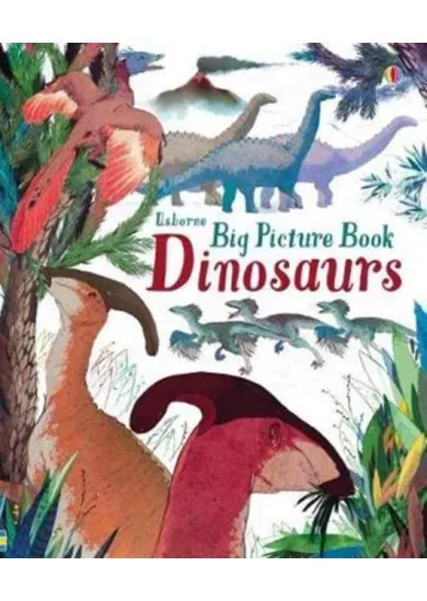 Big Picture Book Dinosaurs