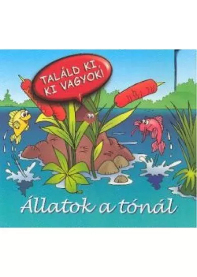 ÁLLATOK A TÓNÁL