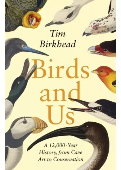 Birds and Us