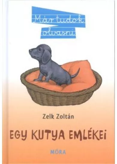 EGY KUTYA EMLÉKEI