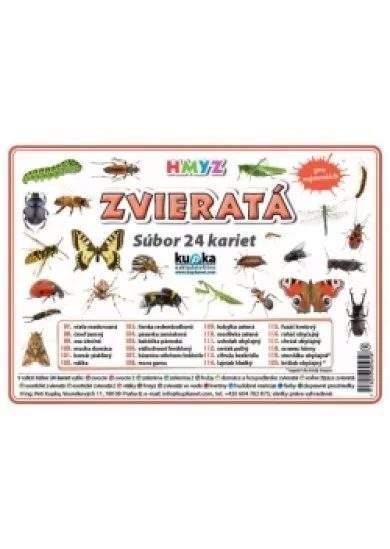 Súbor 24 kariet - zvieratá (hmyz)