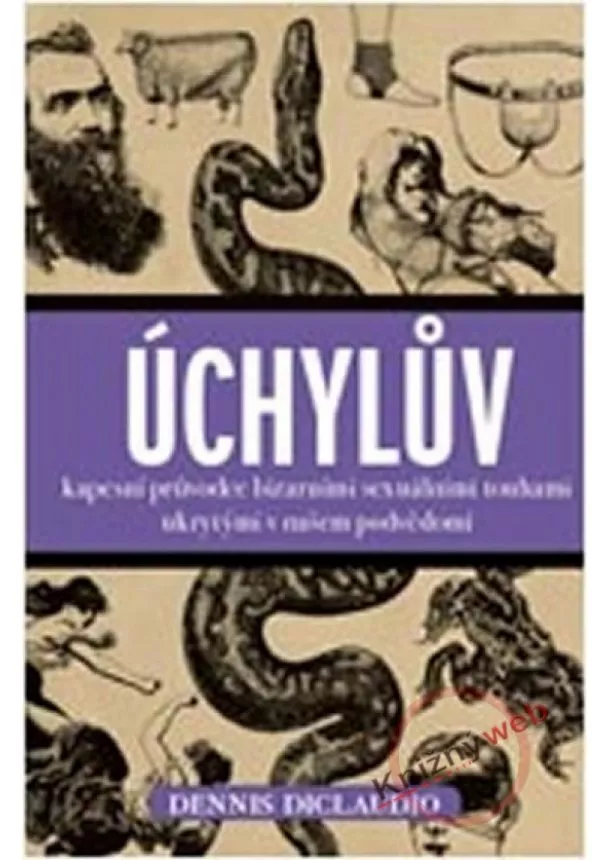 Dennis Diclaudio - Úchylův kapesní průvodce bizarními touhami ukrytými v našem podvědomí