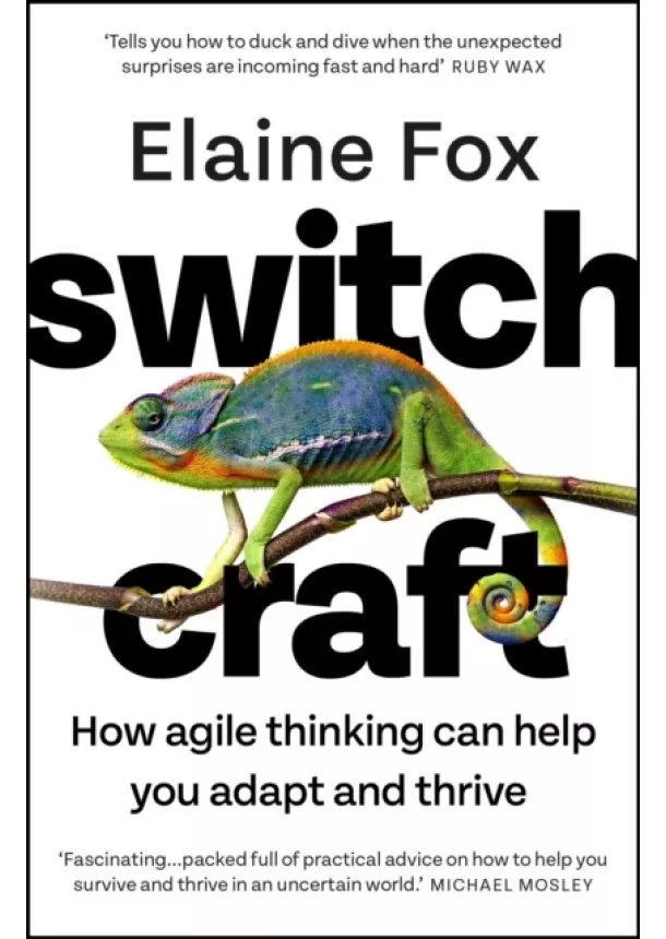 Elaine Fox - Switchcraft