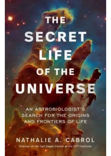 The Secret Life of the Universe