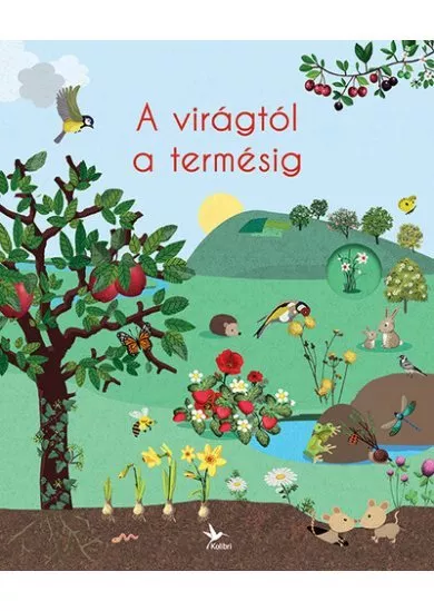 A virágtól a termésig - A természet körforgása