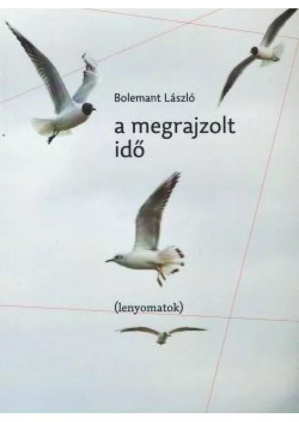 Bolemant László - A megrajzolt idő /lenyomatok/