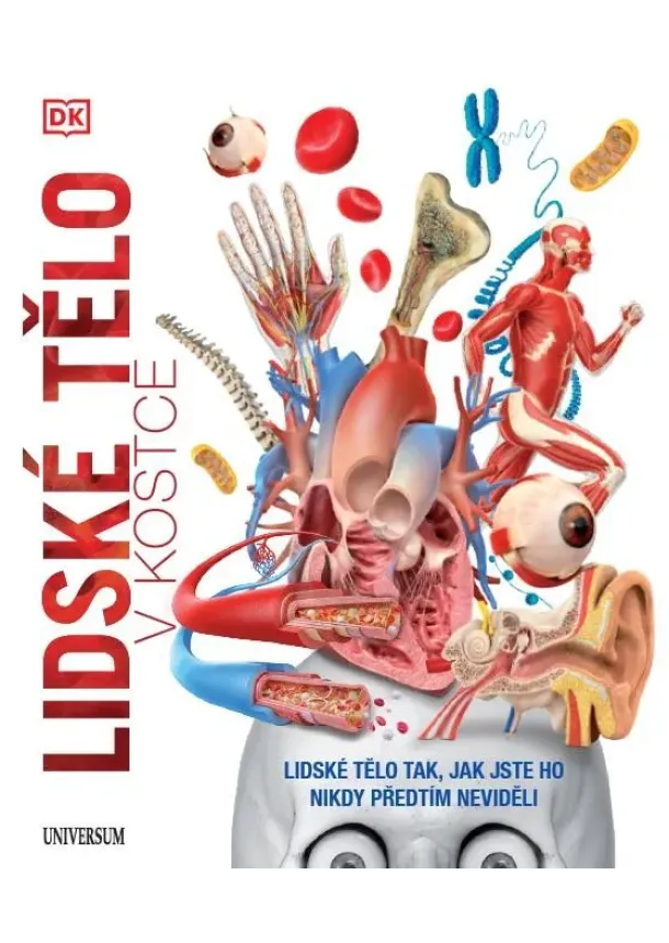 Lidské tělo v kostce