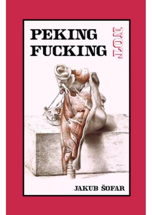Jakub Šofar - Peking Not Fucking