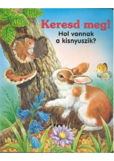 KERESD MEG! HOL VANNAK A KISNYUSZIK?