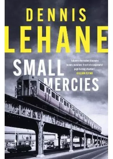 Small Mercies: ´can´t-put-it-down entertainment´ Stephen King