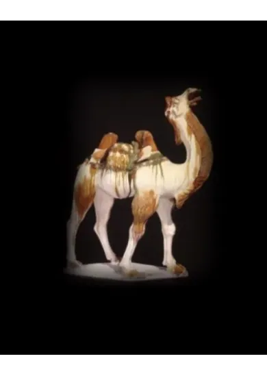 Silk Roads