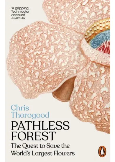 Pathless Forest