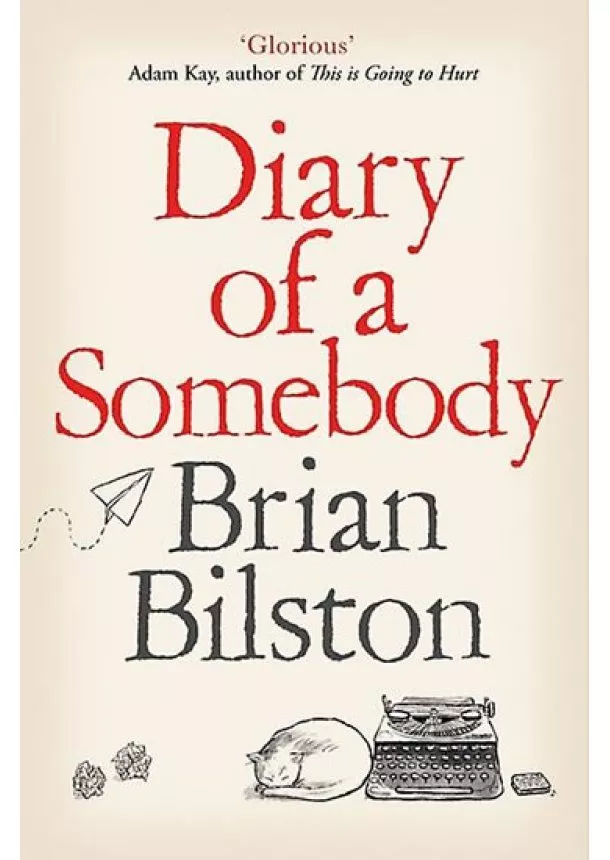 Brian Bilston - Diary of a Somebody